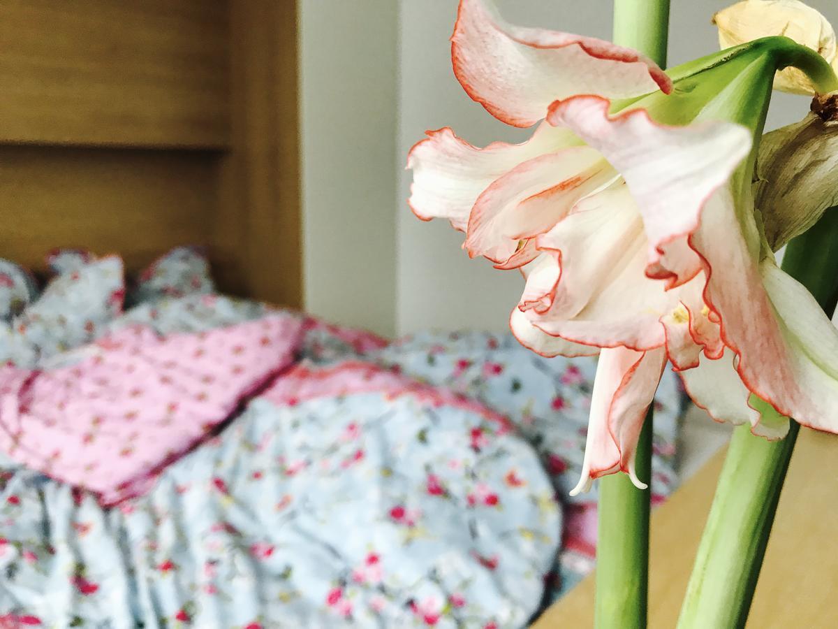 Design Apartment In Park 소피아 외부 사진