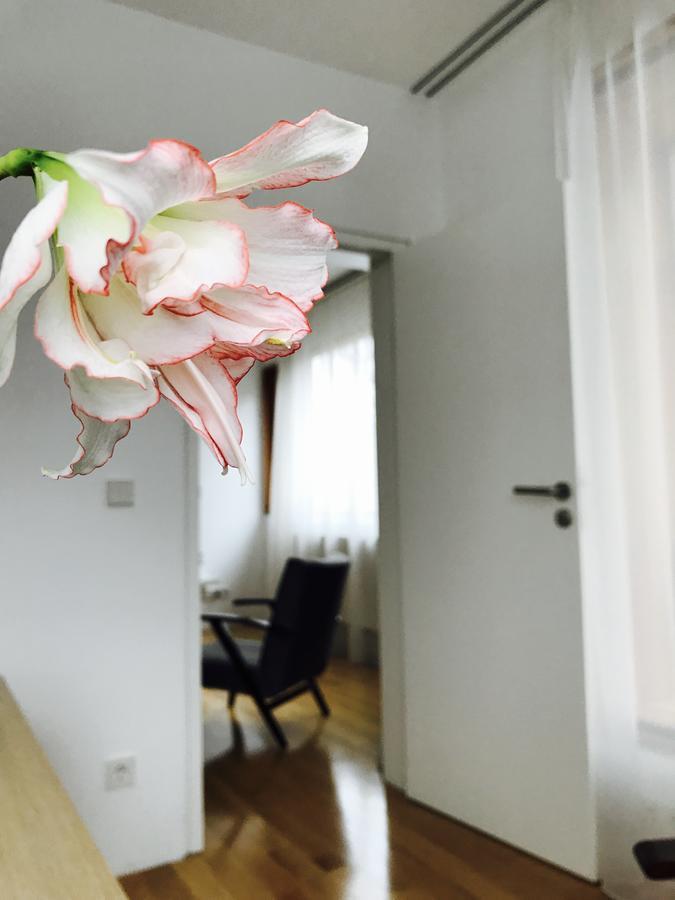 Design Apartment In Park 소피아 외부 사진